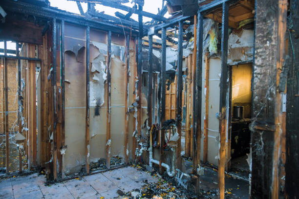 Professional Soot Cleanup technician working in Robins, IA
